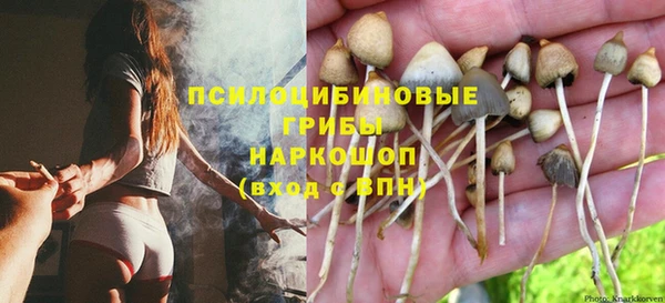 крисы Рославль